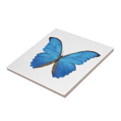 Carreau Papillon bleu de Morpho (Côté)