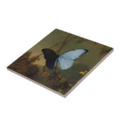 Carreau Papillon bleu de Morpho par Martin Johnson Heade (Côté)