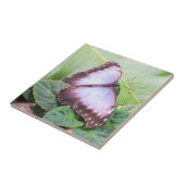 Carreau Papillon bleu morpho (Côté)