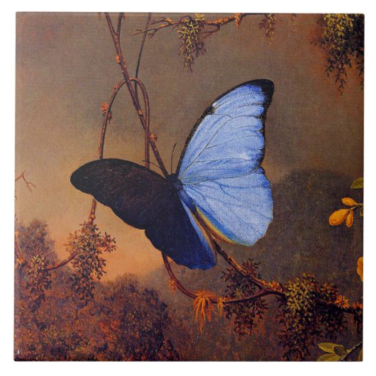 Carreau Papillon bleu Morpho, art (Devant)