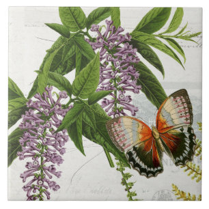 Carreau Papillon botanique Purple Wisteria Vintage 1