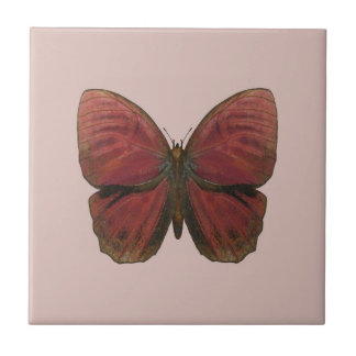 Carreau Papillon Coq Rouge