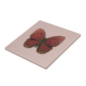 Carreau Papillon Coq Rouge (Côté)