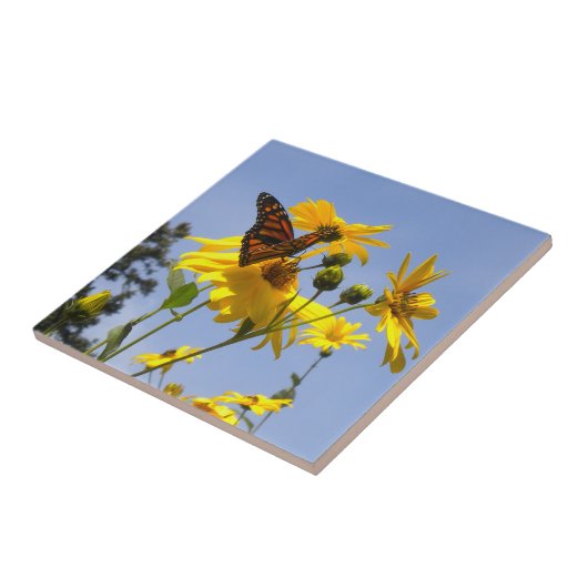 Carreau Papillon dans le Sky 2 Tile Trivet (Côté)