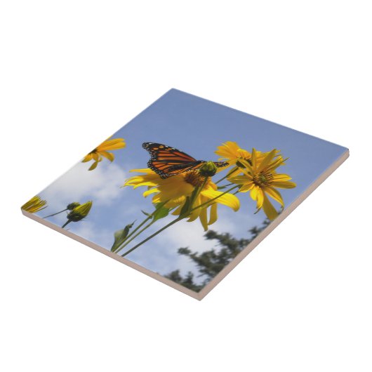 Carreau Papillon dans le Sky 3 Tile Trivet (Côté)