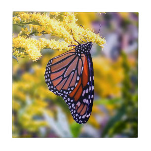 Carreau Papillon de monarque sur la tuile en céramique