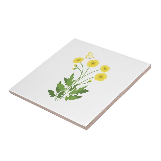 Carreau Papillon de papillon (Côté)