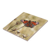 Carreau Papillon de Peacock (Côté)