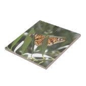 Carreau Papillon d'empereur de Hackberry (Côté)