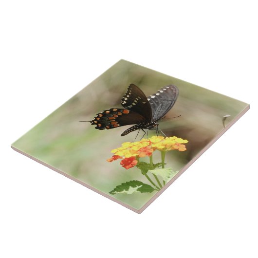 Carreau Papillon en Fleur sauvage (Côté)