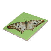 Carreau Papillon exotique de Sainte-Lucie (Côté)
