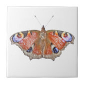 Carreau papillon fané (Devant)