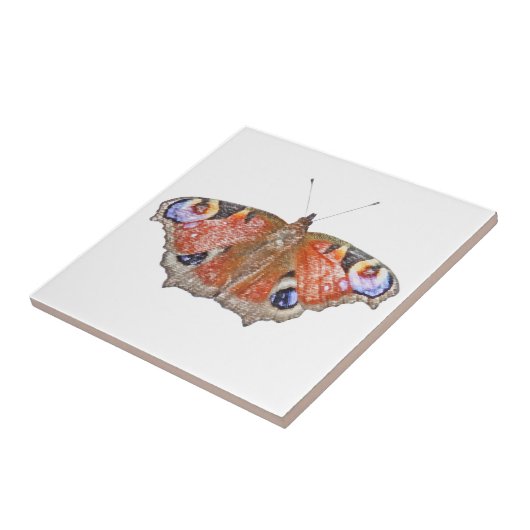 Carreau papillon fané (Côté)