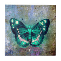 Papillon Galaxie Aqua