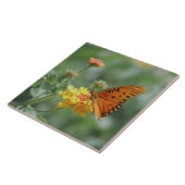 Carreau Papillon Gulf fritillaire étiré (Côté)