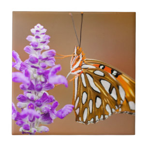 Carreau Papillon Gulf Fritillary Orange Clair