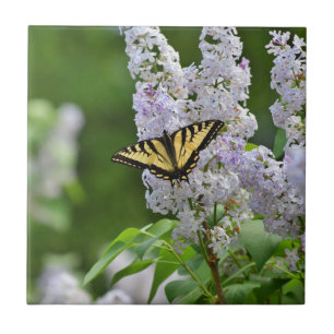 Carreau Papillon jaune sur lilas