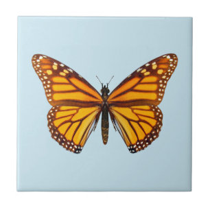 Carreau Papillon Monarque