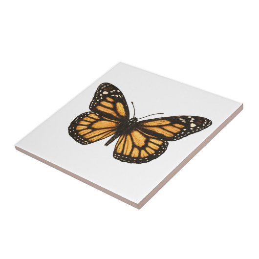 Carreau Papillon monarque (Côté)