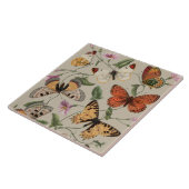 Carreau Papillon Moth Nature Collection Dessin (Côté)