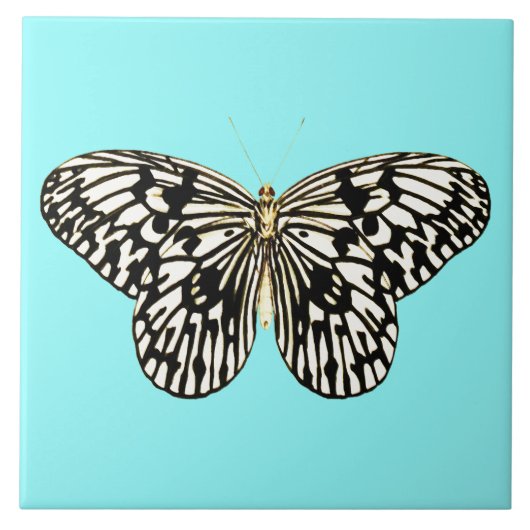 Carreau Papillon noir et blanc, arrière - plan turquoise (Devant)