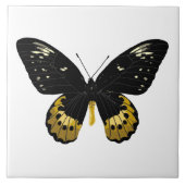 Carreau Papillon noir et jaune (Devant)