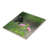 Carreau Papillon noir Swallowtail (Côté)