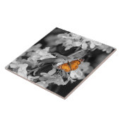Carreau Papillon orange Sur Carrelage en céramique Apple B (Côté)