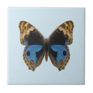 Carreau Papillon Pansy Bleu