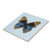 Carreau Papillon Pansy Bleu (Côté)