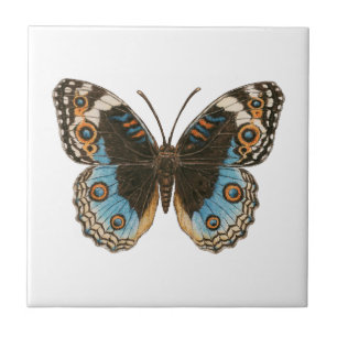 Carreau Papillon Pansy Bleu