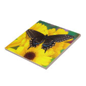 Carreau Papillon Papilio polyxenes (Côté)