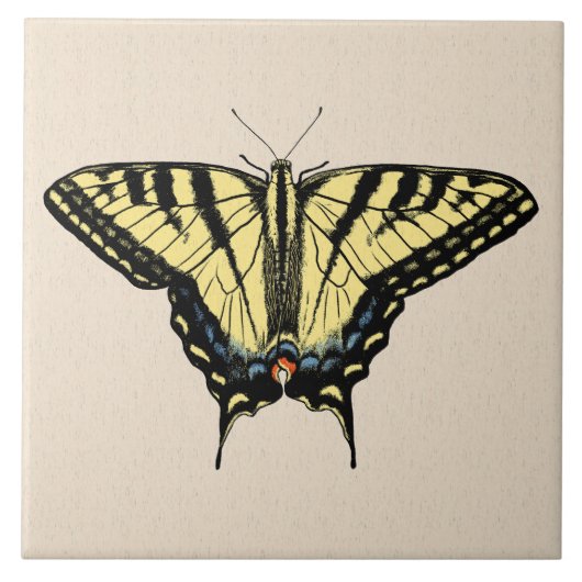 Carreau Papillon Southwestern jaune Swallowtail (Devant)