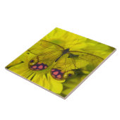 Carreau Papillon sur Fleurs Jaunes (Côté)