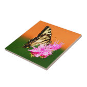 Carreau Papillon swallowtail de l'Est (Côté)
