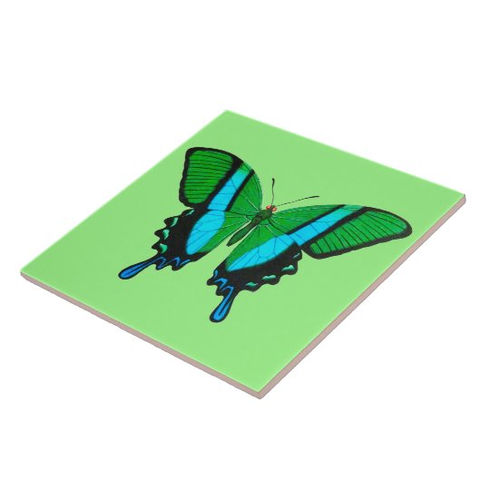 Carreau Papillon Swallowtail en vert, turquoise et noir (Côté)