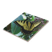Carreau Papillon Swallowtail I sur Asclépiade à Shenandoah (Côté)