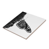 Carreau papillon timide blacq (Côté)