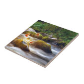 Carreau Papillons (Côté)