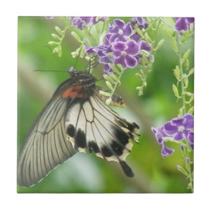 Carreau Papillons et tuile de fleurs