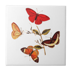 Carreau Papillons rouges britanniques vintage Art d'insect