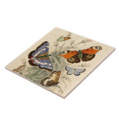 Carreau Papillons vintages par Oliver Goldsmith (Côté)