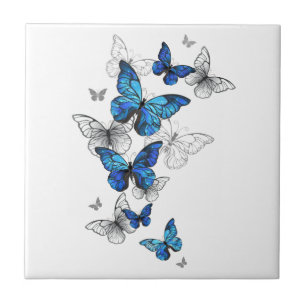 Carreau Papillons volants bleus Morpho