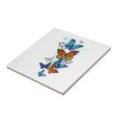 Carreau Papillons volants Morpho et Monarch (Côté)