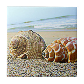 Carreau Par la tuile de mer…