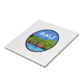 CARREAU PARADIS DE L'ÂME (Côté)