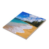 Carreau Paradis de plage tropical, Hawaï (Côté)