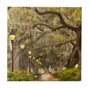 Carreau Parc de Forsyth - photo, la savane, la Géorgie