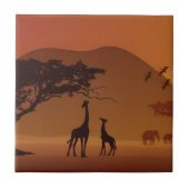 Carreau Parc de safari (Devant)