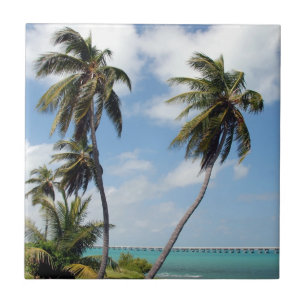 Carreau Parc d'état de Bahia Honda